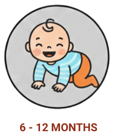 6-12 months