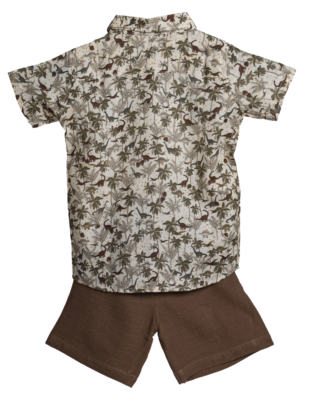 Boys dinosaur print cotton co-ord set by Dinoro – comfortable summer kids wear, back view